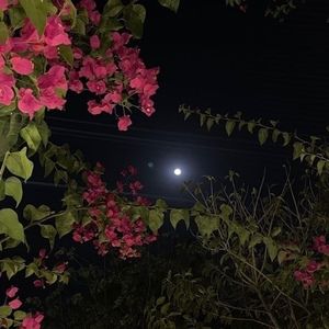 Meet your Posher, Destiny